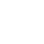 Fat Lizard logo